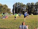 Kickball League Photos