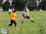 Kickball League Photos